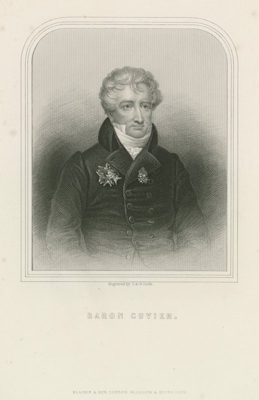 Georges Cuvier, naturalista e zoólogo francês (gravura) de English School