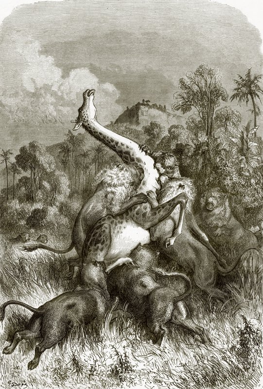 Girafa e leões de English School