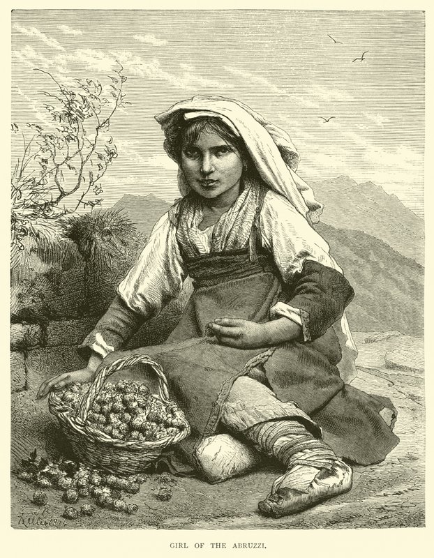 Menina dos Abruzzi de English School