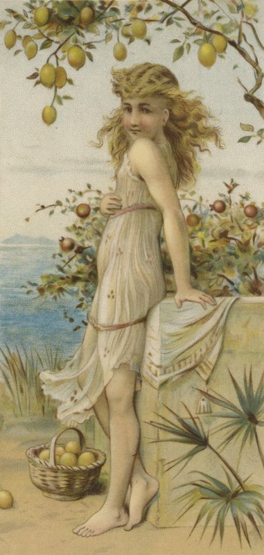 Menina, colheita, limões, (color, print, silk) de English School