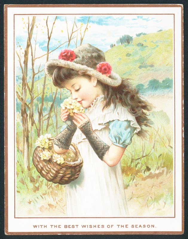Menina cheirando flores da cesta, cartão de Natal de English School