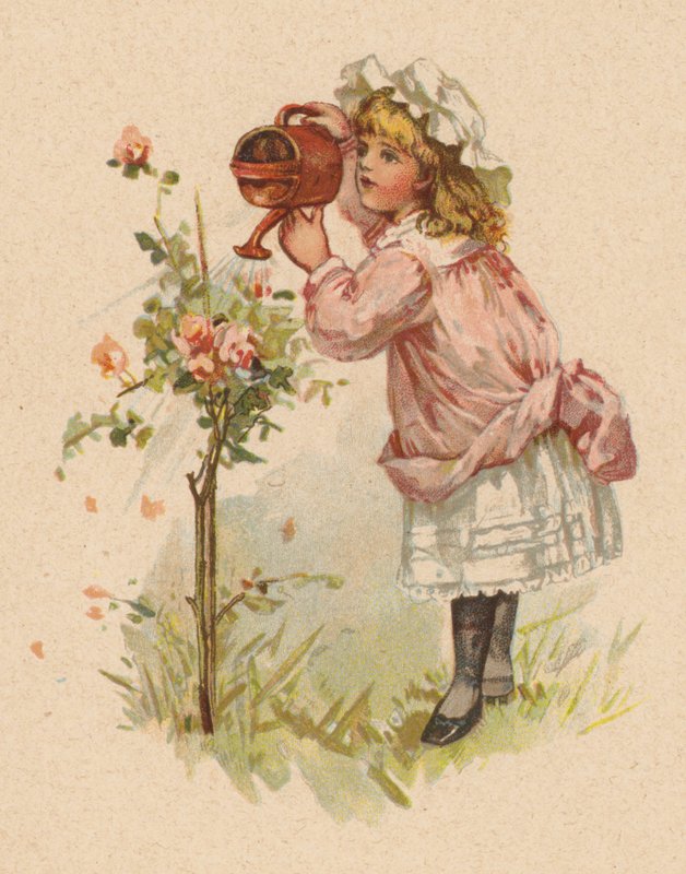 Rosas de rega feminina (chromolitho) de English School