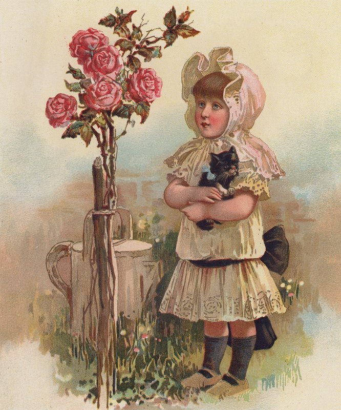 Rapariga com um gato e uma roseira (cromolitografia) de English School