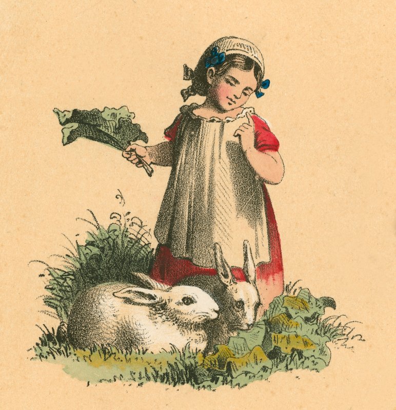 Menina com seus coelhos de English School