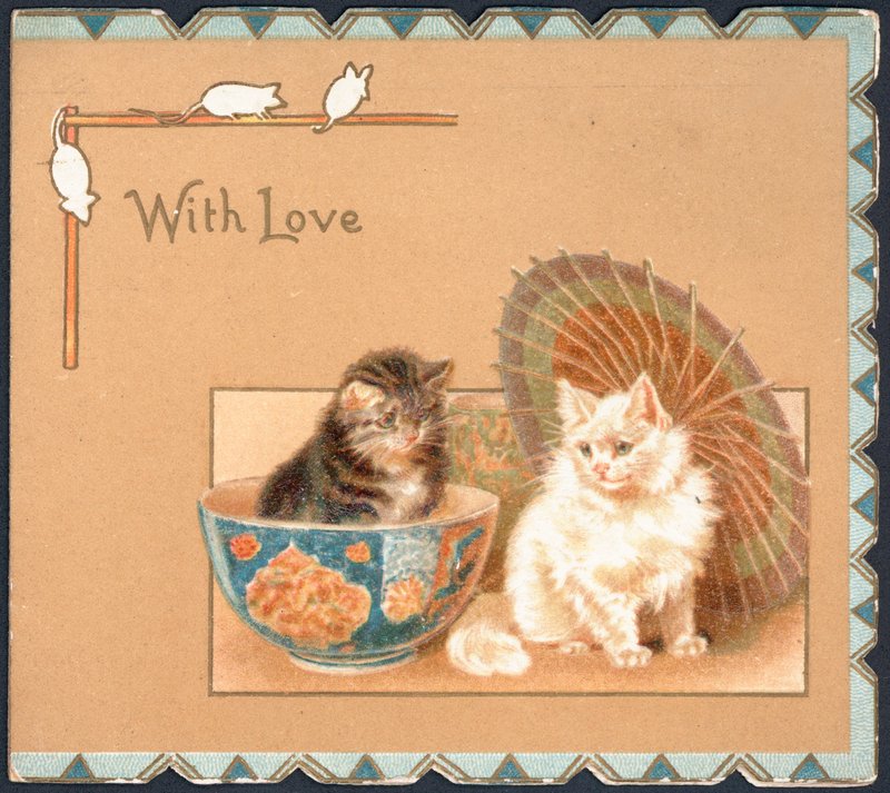 Cartão com dois gatos de English School