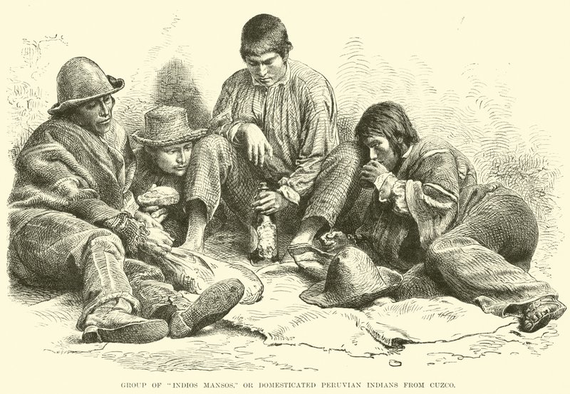 Grupo de índios Mansos, ou índios peruanos domesticados de Cuzco de English School