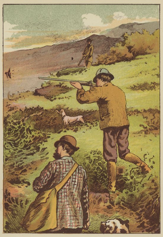 Grouse shooting (gravação a cores) de English School