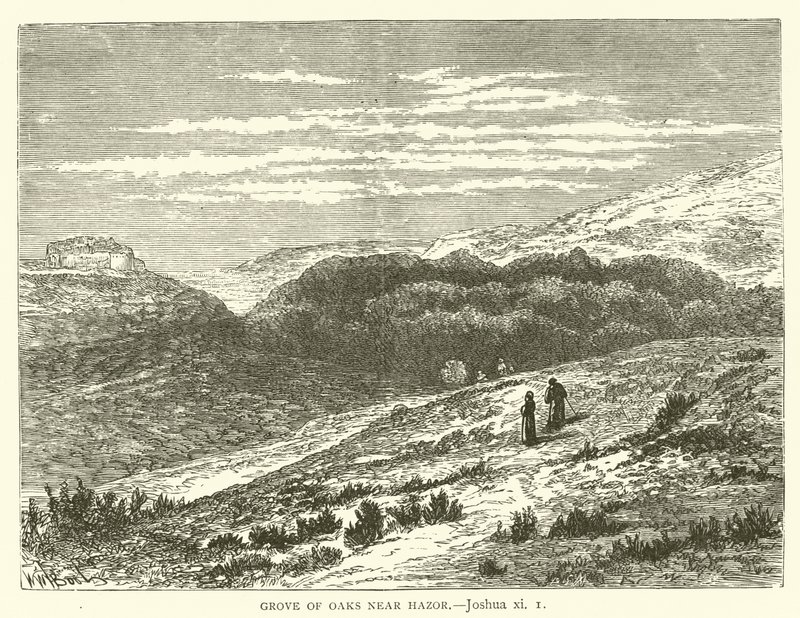 Grove of Oaks perto de Hazor, Joshua, xi de English School