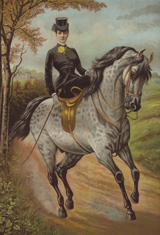 Sua Alteza Real a Princesa de Gales (cromolitografia) de English School