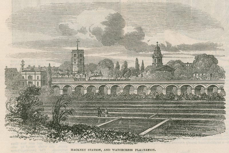 Estação de Hackney e plantação de agrião, Londres de English School