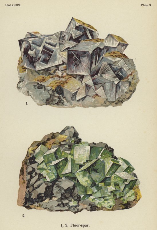 Haloides, espatoflúor (cor litho) de English School