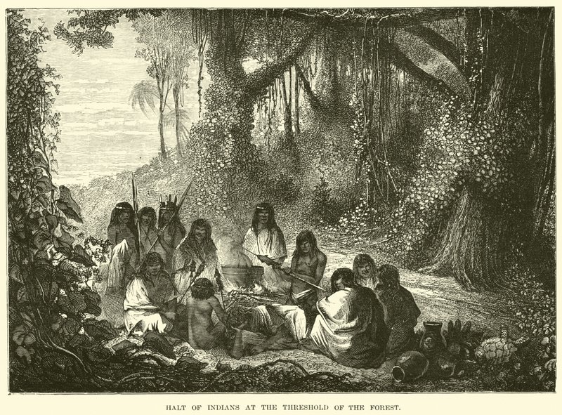 Parada dos índios no limiar da floresta de English School