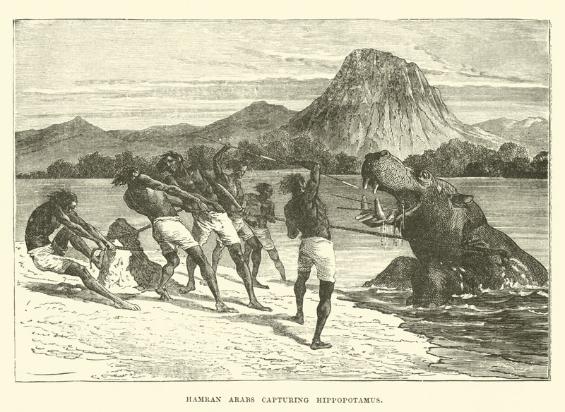 Hamran Arabs capturando hipopótamo de English School