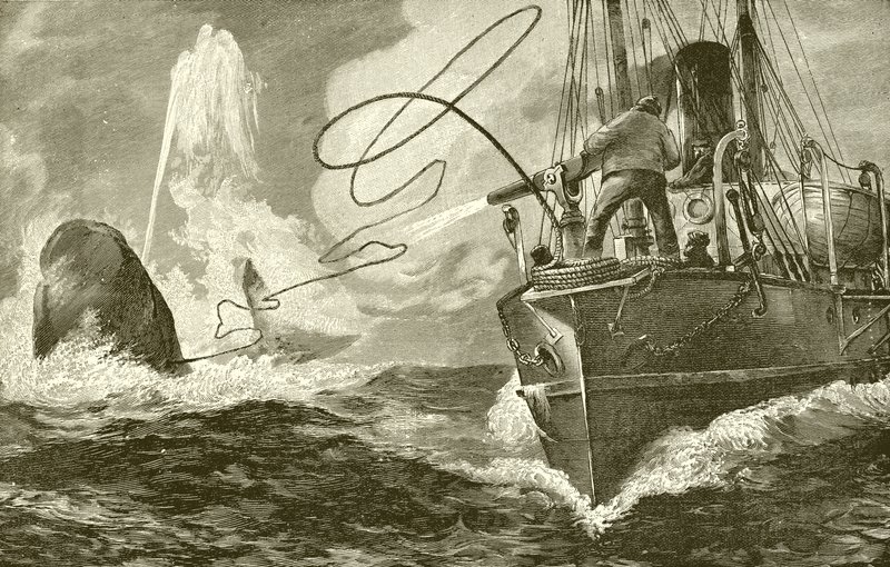 Arpoando uma baleia de um navio a vapor de English School
