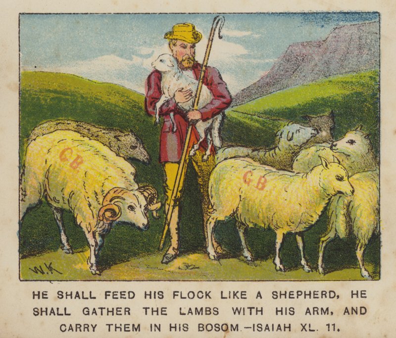 Alimentará o seu rebanho como um pastor, recolherá os cordeiros com o braço e carregá-los-á (cor litho). de English School