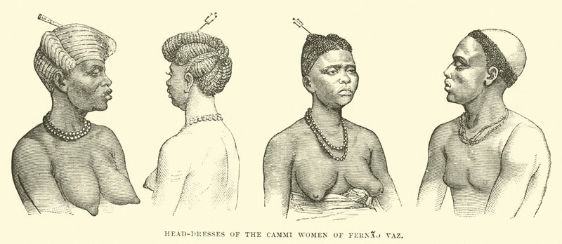 Vestidos de cabeça das mulheres Cammi de Fernão Vaz de English School
