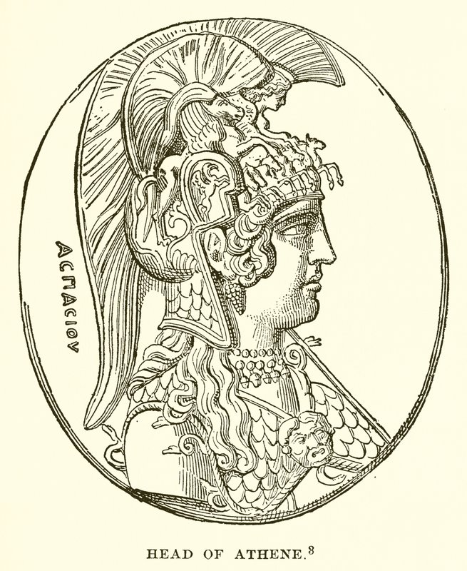Cabeça de Athene de English School