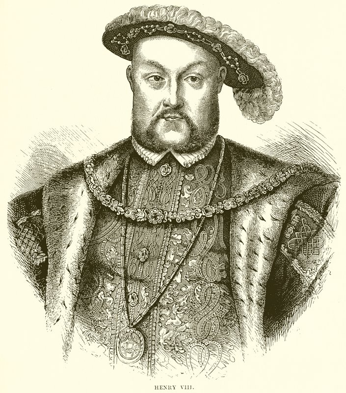 Henry VIII de English School
