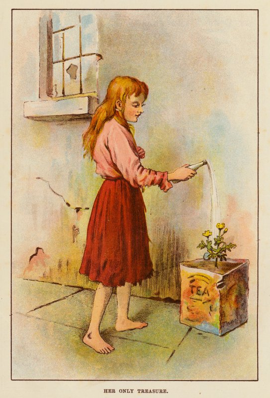 O seu único tesouro (cor litho) de English School