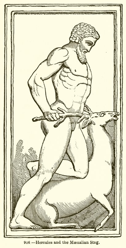 Hércules e o veado Maenaliano de English School