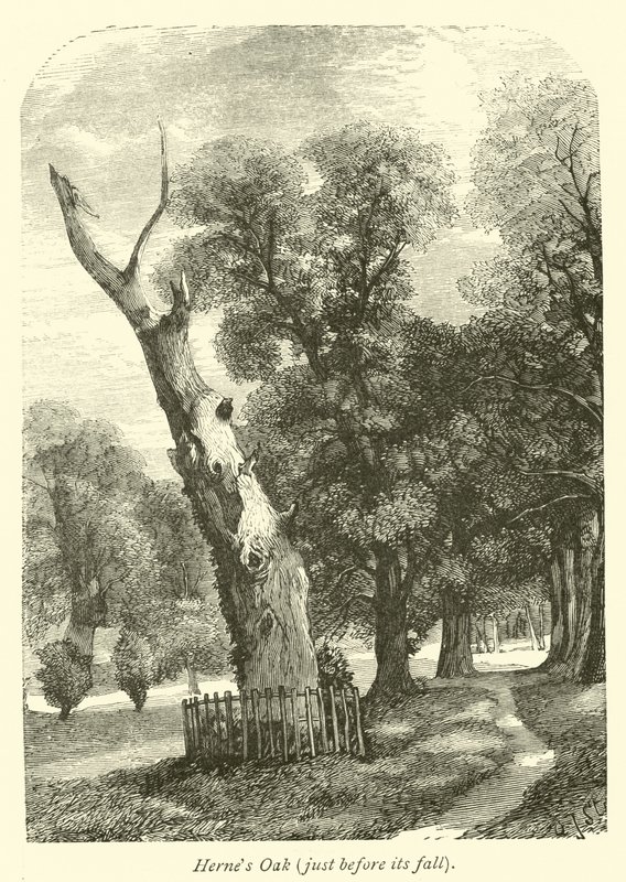Hernes Oak, pouco antes de sua queda de English School
