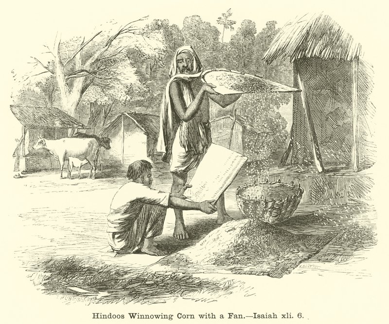 Hindoos Winnowing milho com um fã, Isaías, xli, 6 de English School