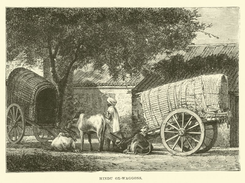 Vagões de boi hindus de English School
