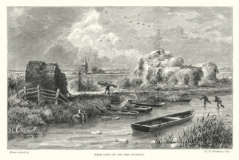 Lode de azinhavre, na região de Fen (gravura) de English School