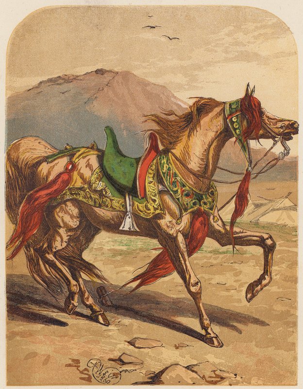 Cavalo (litografia a cores) de English School