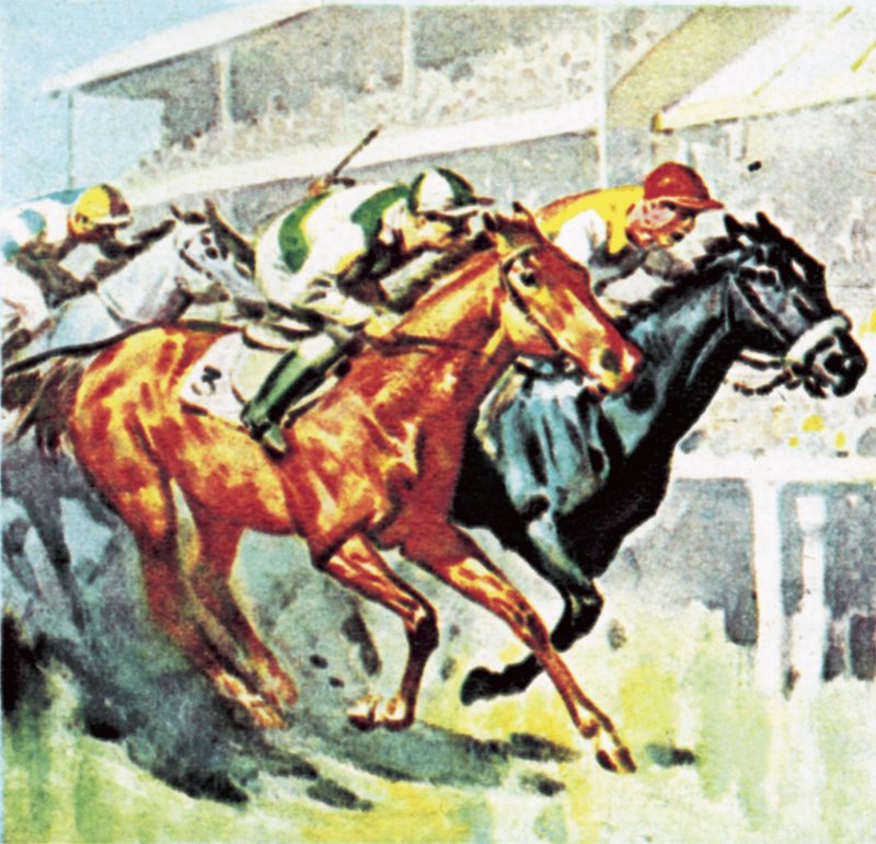 Corrida de cavalo de English School