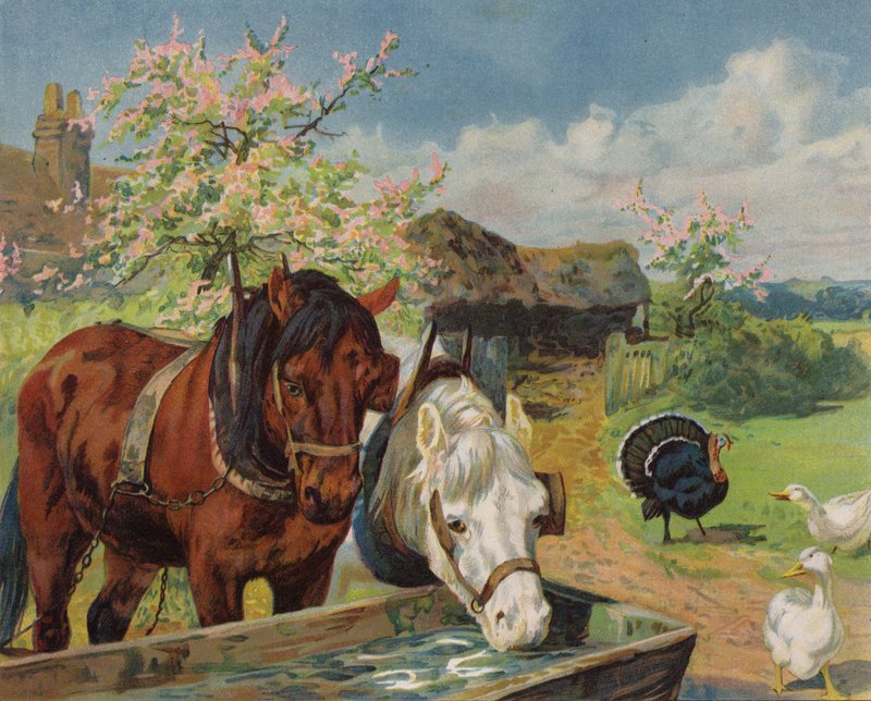 Cavalos bebendo de um bebedouro de água (cor litho) de English School