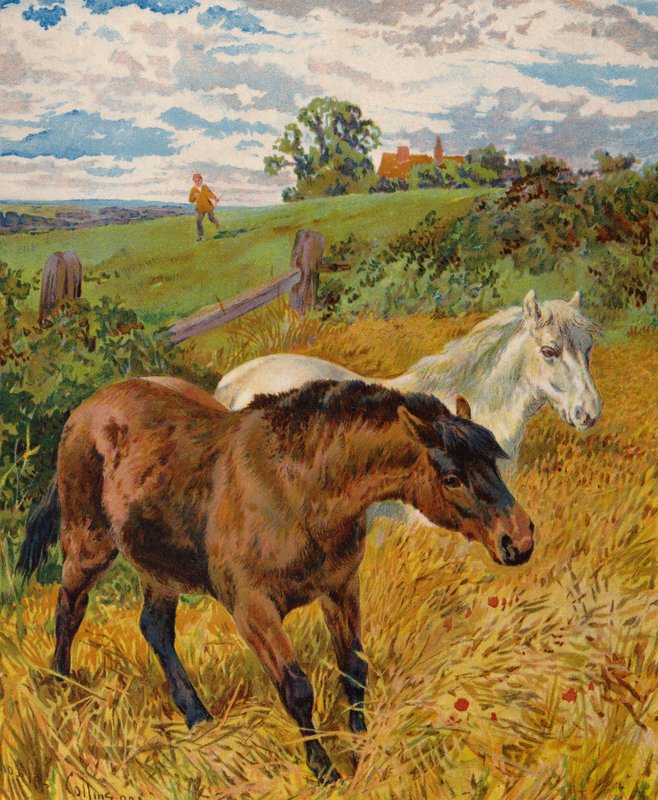Cavalos num campo de milho (litografia a cores) de English School