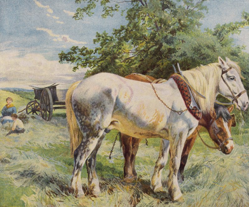 Cavalos a fazer uma pausa do trabalho numa quinta (cor litho) de English School
