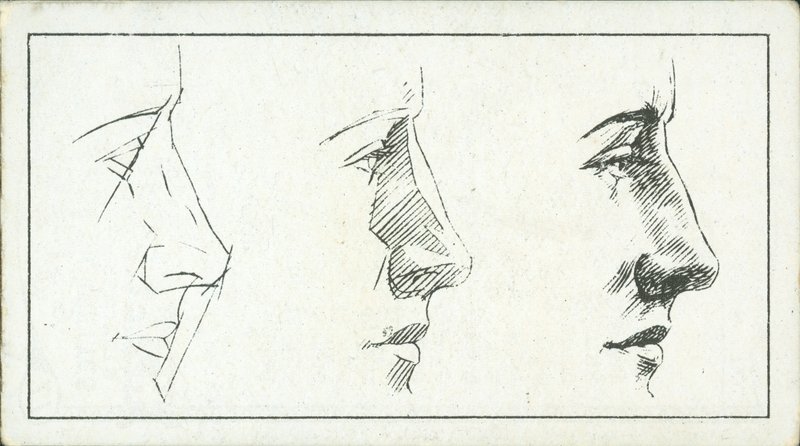 Como desenhar: O nariz (litografia) de English School