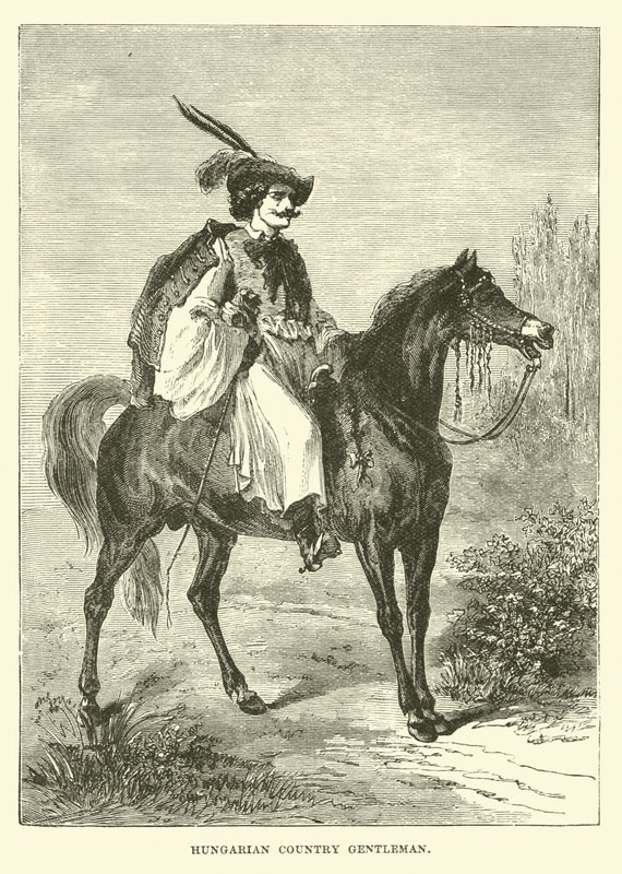 Cavalheiro do país húngaro de English School