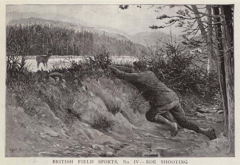 Caçador atirando num veado (litho) de English School