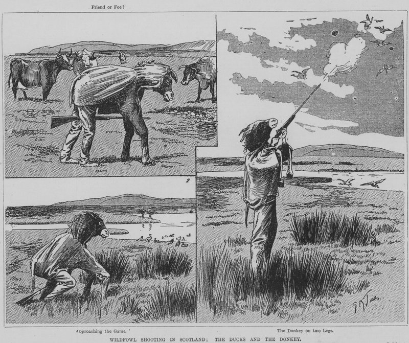 Caçador atirando em aves selvagens na Escócia disfarçado de burro (gravura) de English School