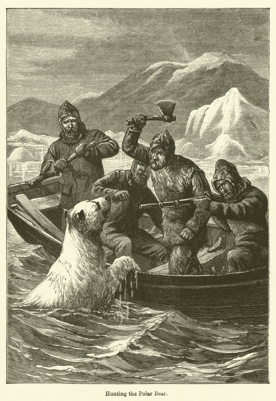 Caça ao Urso Polar (gravura) de English School