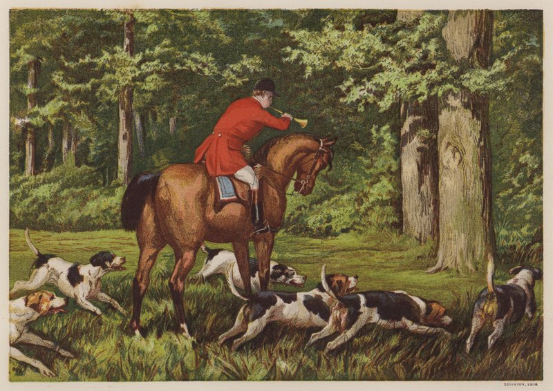 Caça com cães de caça (cor litho) de English School