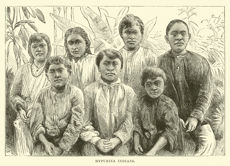 Índios de Hypurina de English School