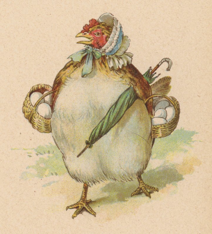 Eu tive uma pequena galinha, a mais bonita já vista (chromolitho) de English School