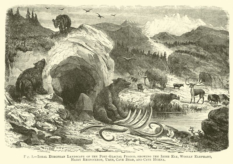 Paisagem européia ideal do período pós-glaciar, mostrando o alce irlandês, o elefante lanoso, o rinoceronte peludo, o urus, o urso da caverna e a caverna Hyaena de English School
