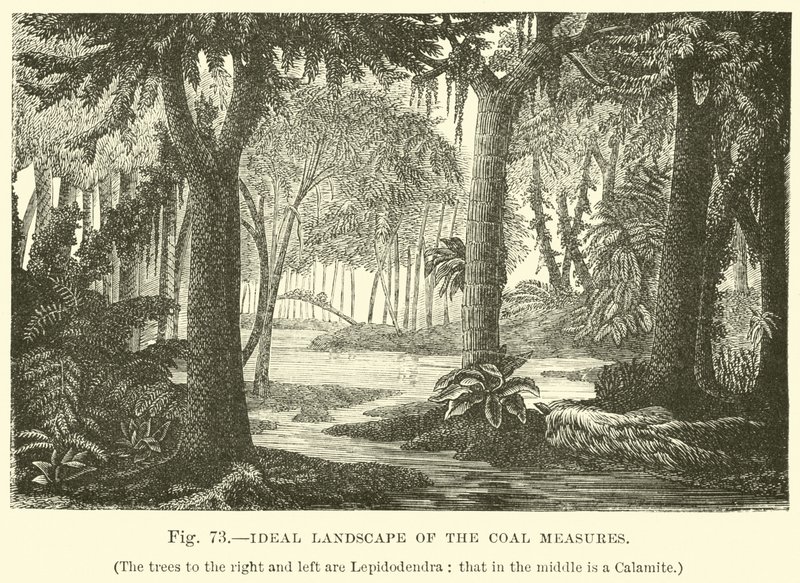 Paisagem Ideal das Medidas de Carvão de English School