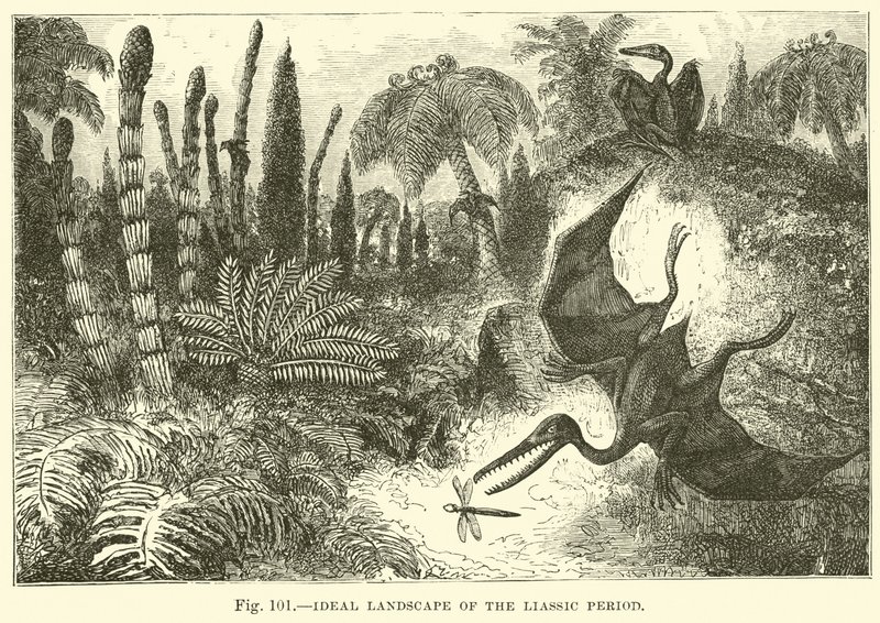 Paisagem Ideal do Período Liassic de English School