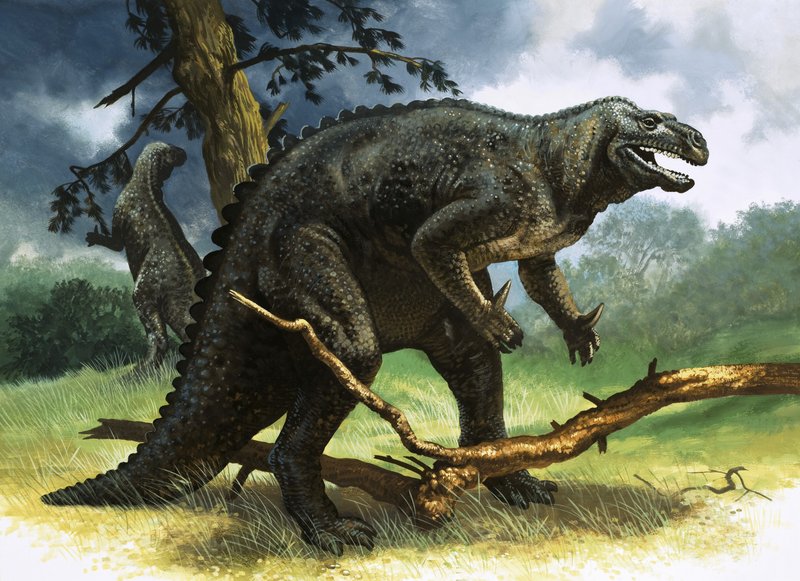 Iguanodon de English School