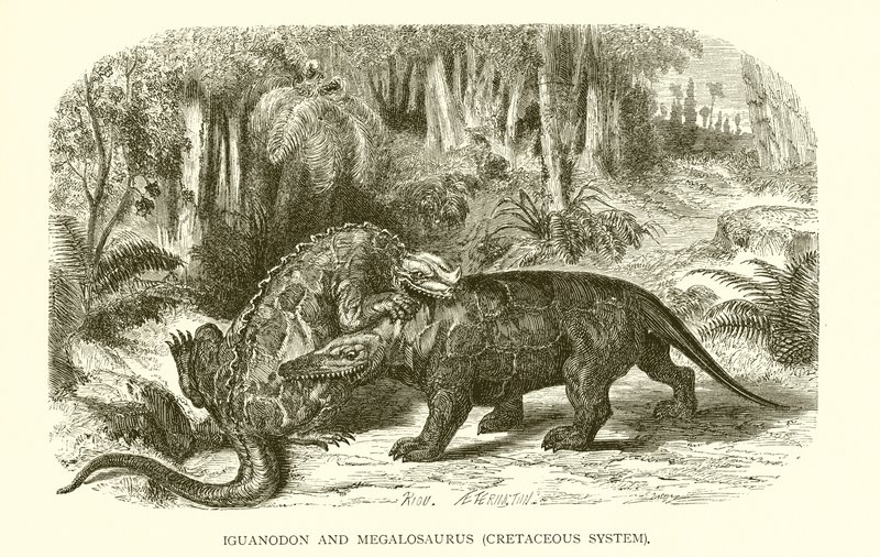 Iguanodon e Megalossauro, Sistema Cretáceo de English School