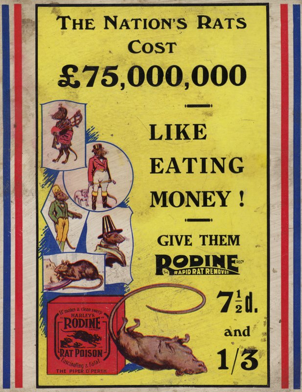 Anúncio ilustrado para veneno de rato de English School