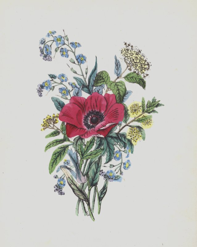 Ilustração para o álbum Moss Rose (litografia a cores) de English School