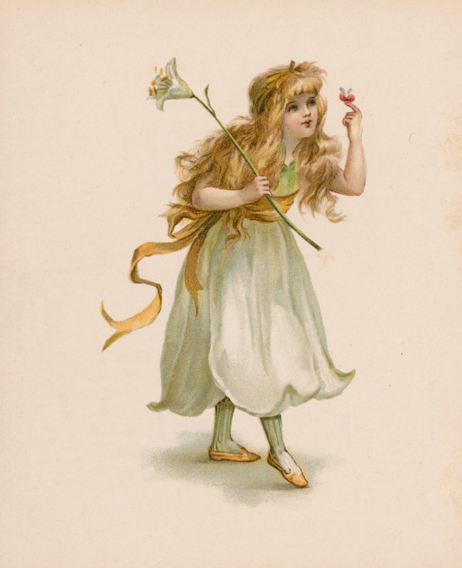 Ilustração para A Linguagem das Flores (chromolitho) de English School