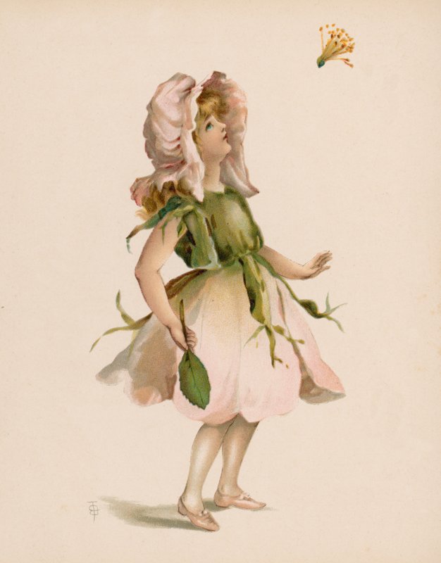 Ilustração para A Linguagem das Flores (chromolitho) de English School